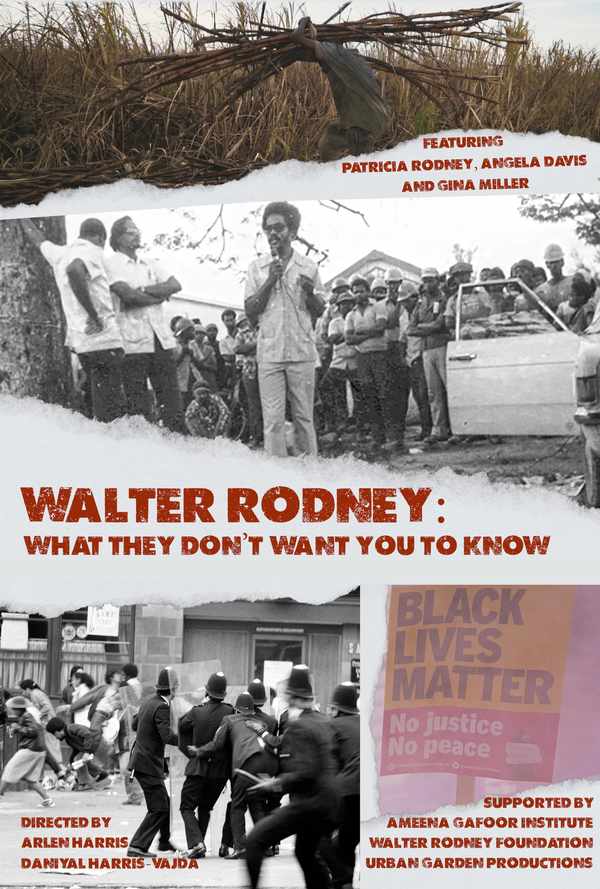 Picture for event Walter Rodney: What they don’t Want you to Know