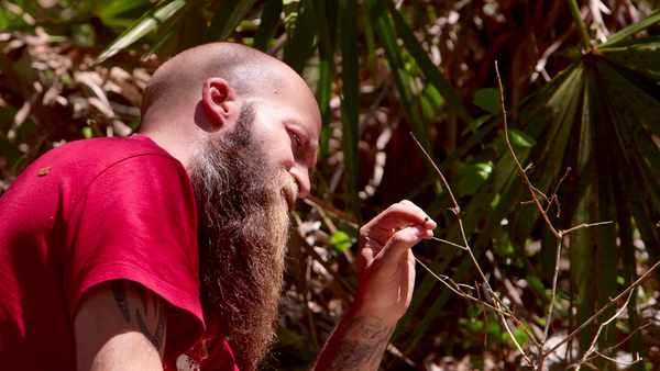 Picture for event From Shock To Awe