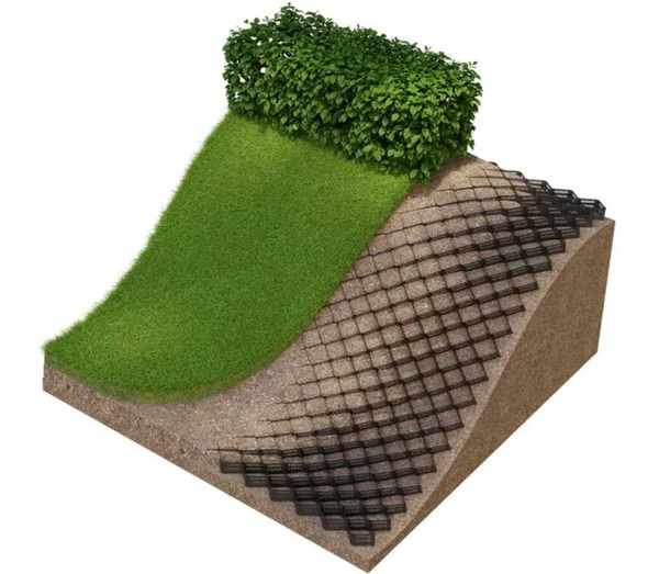 Picture for event Erosion Control + The Sprigs + Thomas Carroll + more TBC