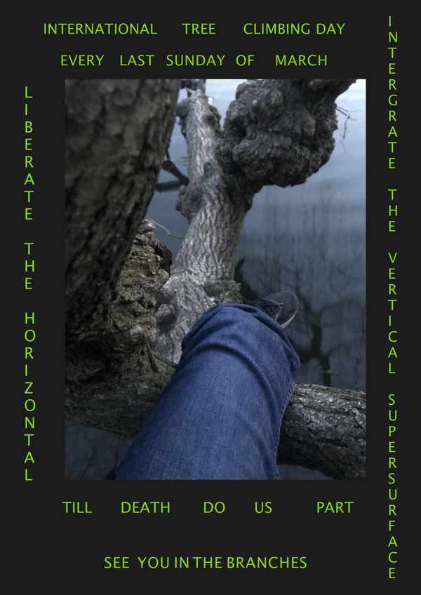 Picture for event international tree climbing day